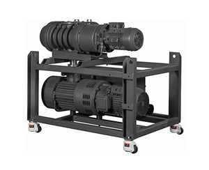 真空系統(tǒng)(真空包裝行業(yè)）