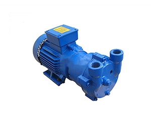 2BV系列水環(huán)式真空泵